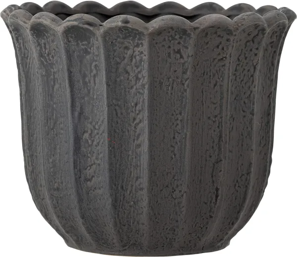 Chaca, kukkaruukku, tummanruskea